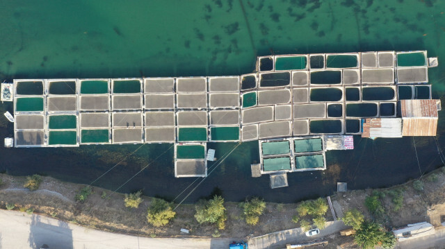 Denizi yok lakin kesim onlardan soruluyor: 54 ülkeye altı bin ton ihracat