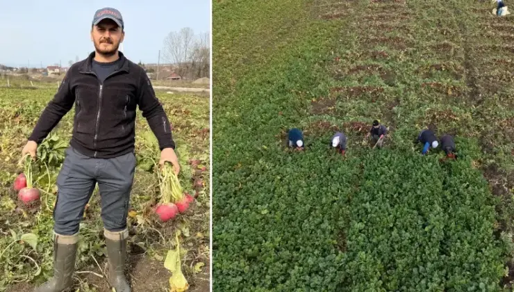İlçede üretimi 25 yıl evvel başladı: Mahallelinin gelir kaynağı oldu