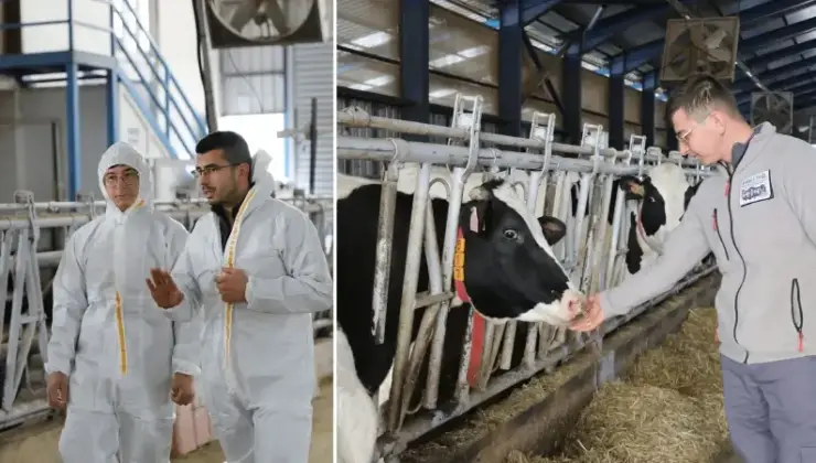 Mimarlıktan çobanlığa: ‘Küpeli Çoban’ iki kuzuyla başladı, aldığı dayanakla çiftlik kuracak