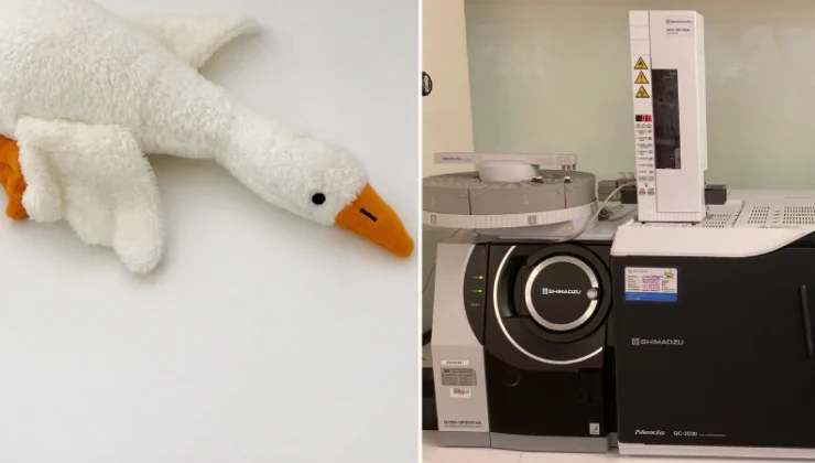 ‘Peluş kaz’da büyük tehlike: Bakanlıktan yasak ve toplatma kararı