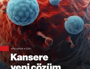 Kanser tedavisine ihtilal: Ziyanlı hücreler artık ilaçla değil titreşimle yok edilecek